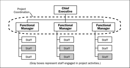 Project Manager nelle strutture organizzative funzionali