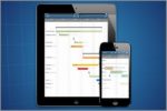 project management in mobilità